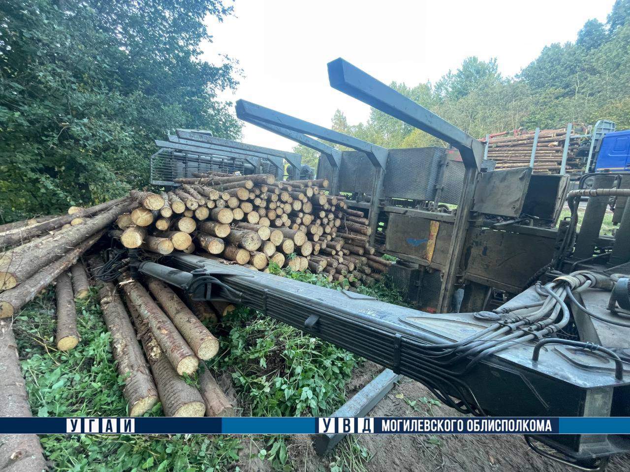 Появились подробности ДТП с лесовозом в Шкловском районе