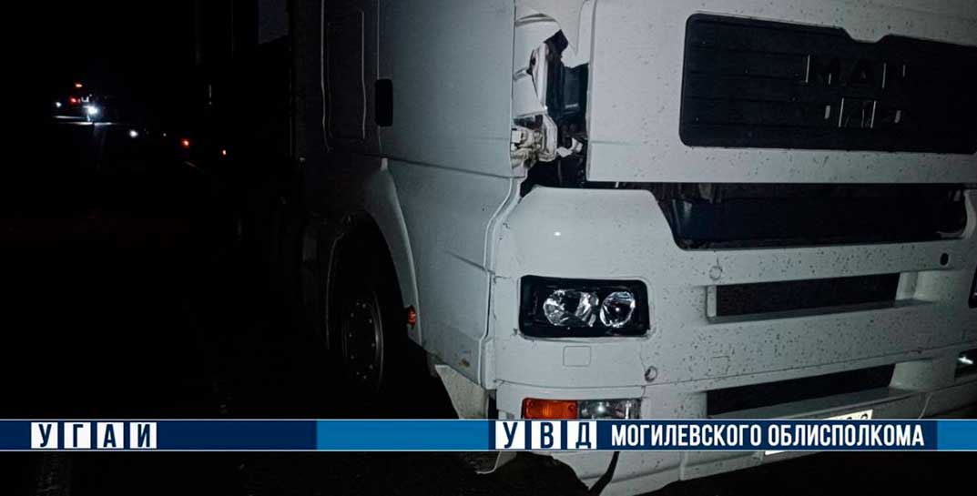 В Мстиславском районе мужчина погиб под колесами грузовика — он шел по дороге без фликера