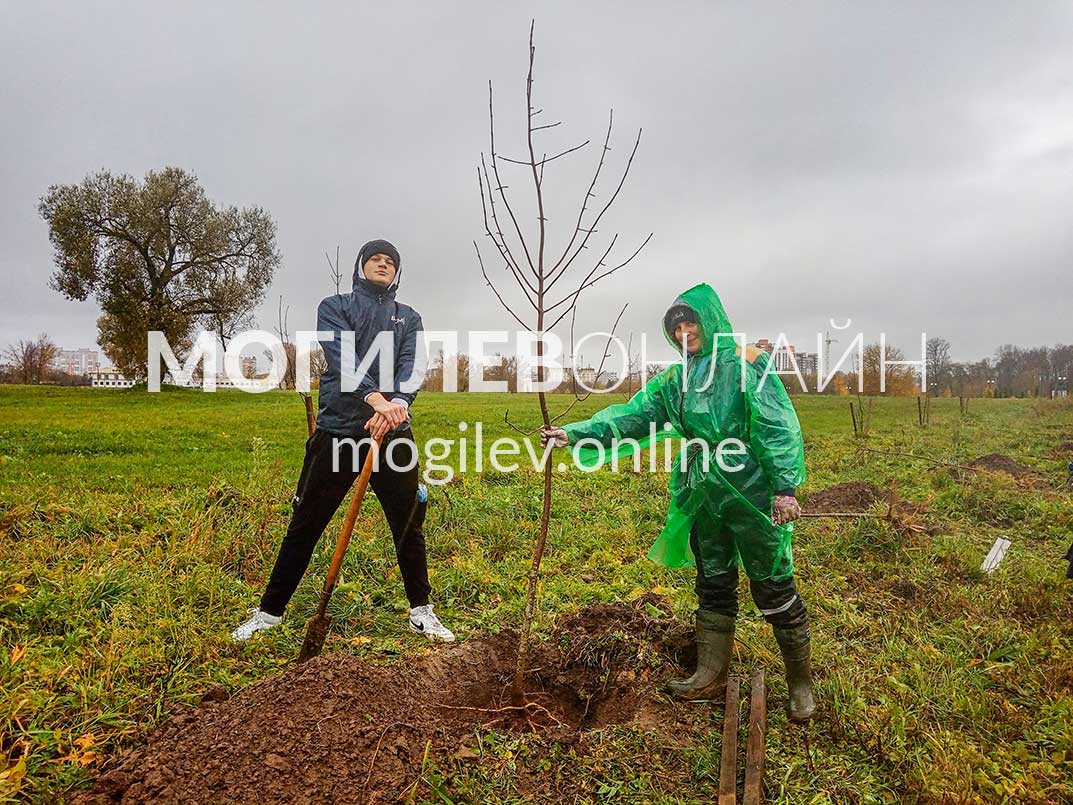 День озеленения в Могилеве