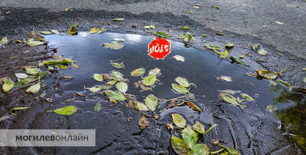 Жители Могилевской области могут пожаловаться на плохие дороги на «горячую линию» Госконтроля