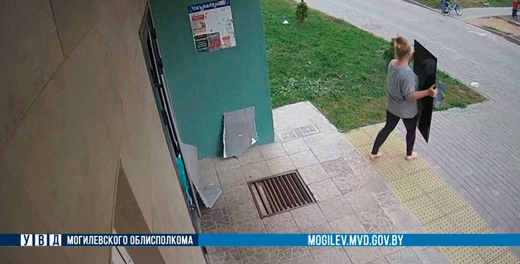 Могилевчанка унесла соседский телевизор — момент кражи попал на видео