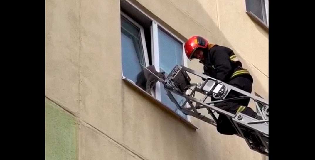 В Солигорске МЧС спасли котика, который застрял в окне на проветривании