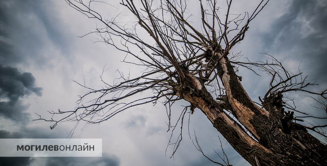Синоптик Дмитрий Рябов дал прогноз погоды в Могилеве на неделю с 9 по 15 октября