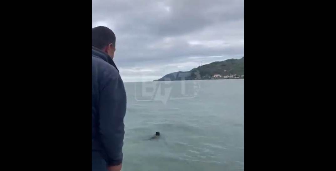 Турецкие рыбаки выловили в Черном море… медвежонка