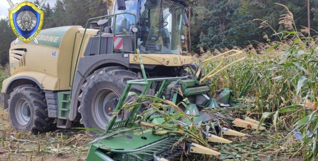В Столбцовском районе пенсионер собирал кукурузу и попал под комбайн