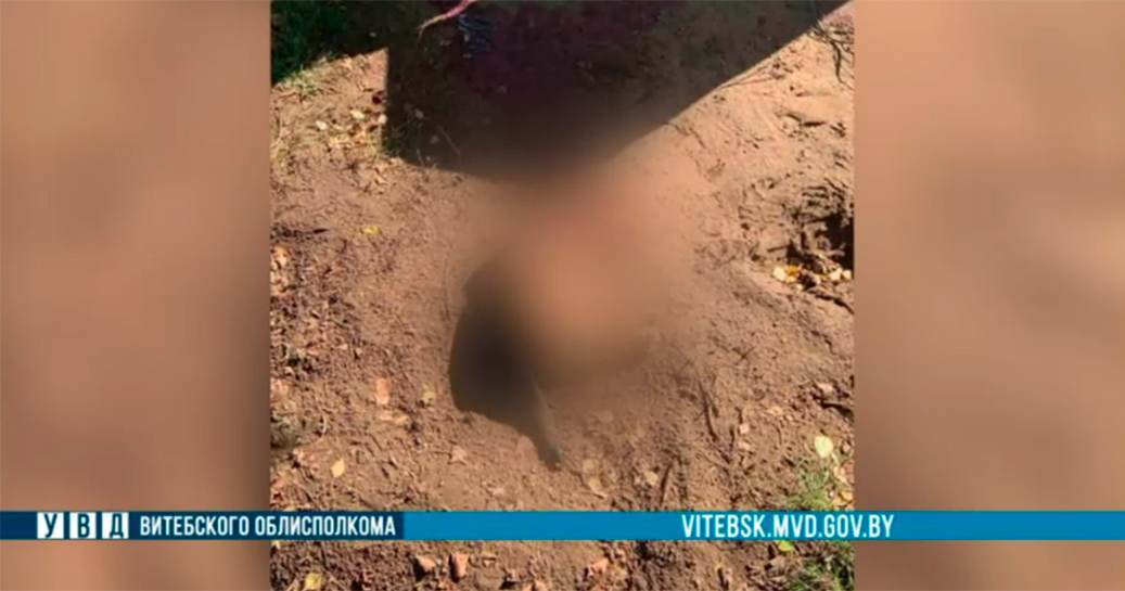 В Витебской области мужчина оглушил соседскую собаку топором и отрезал животному голову