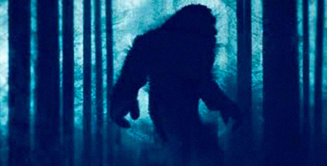В сети завирусилось видео со «снежным человеком». Зрители и ученые гадают, что за существо попало в кадр