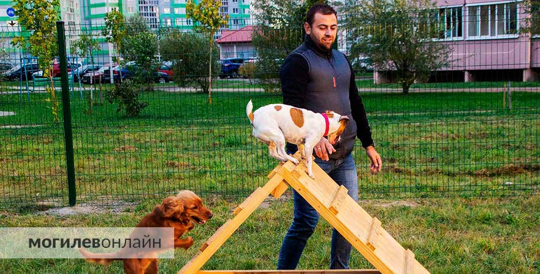 В Казимировке появилась площадка для выгула и дрессировки собак. Собачники и их питомцы — довольны