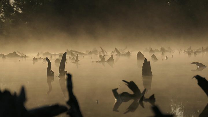 В Витебской области второй день горит болото Ельня, которому около 9000 лет. Уникальный природный объект тушат даже волонтеры