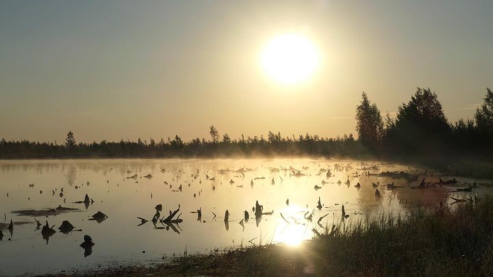 В Витебской области второй день горит болото Ельня, которому около 9000 лет. Уникальный природный объект тушат даже волонтеры