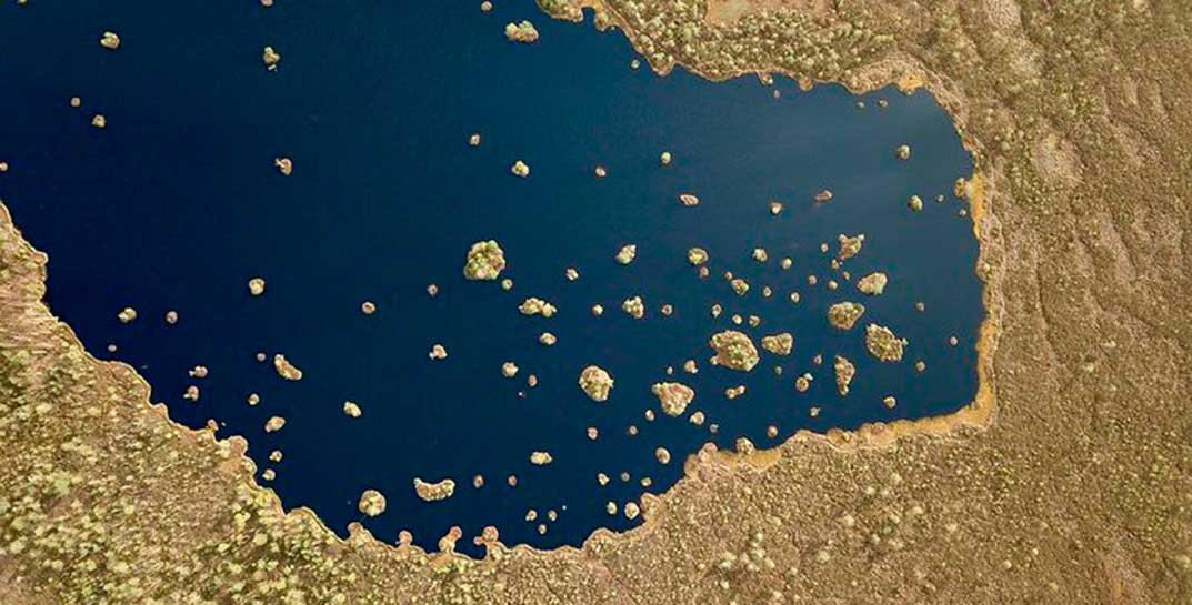 В Витебской области второй день горит болото Ельня, которому около 9000 лет. Уникальный природный объект тушат даже волонтеры