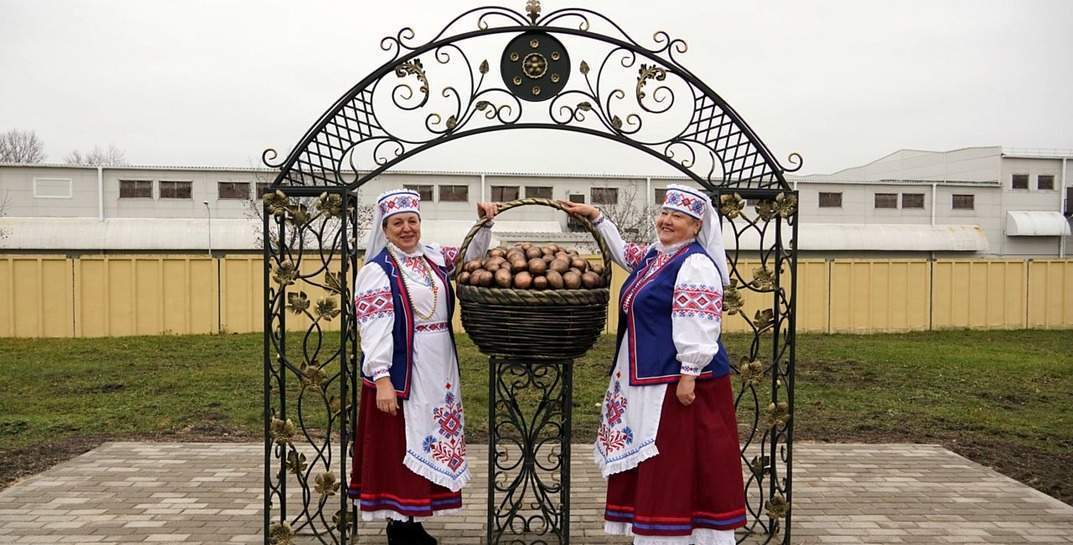 В Бобруйском районе появился новый артобъект — бронзовая картошка