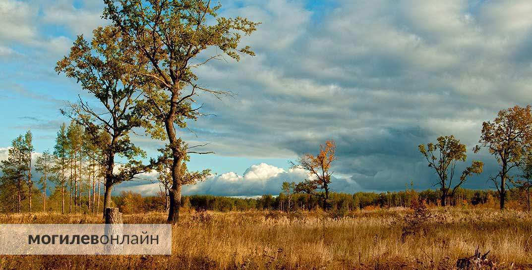 В октябре средняя температура воздуха была выше климатической нормы на 1,2 градуса