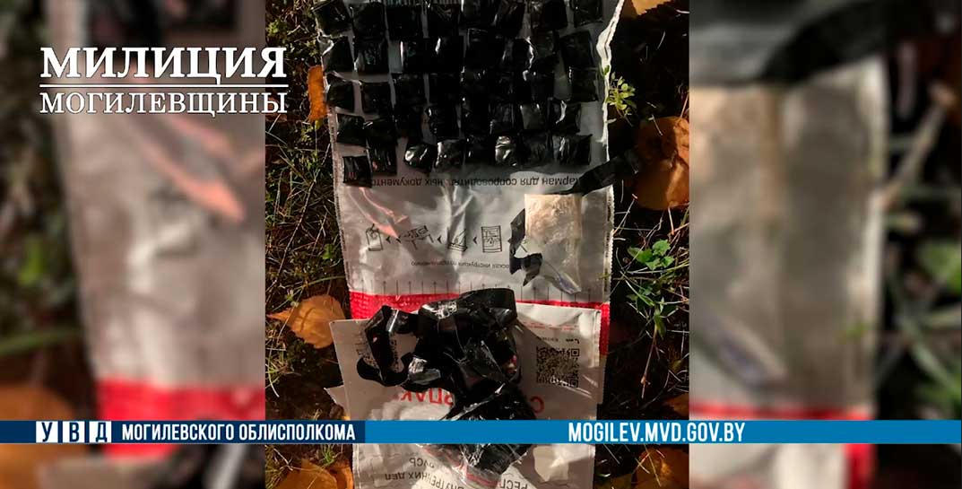 В Бобруйске задержана закладчица, которая решила подработать на наркотиках… в декретном отпуске