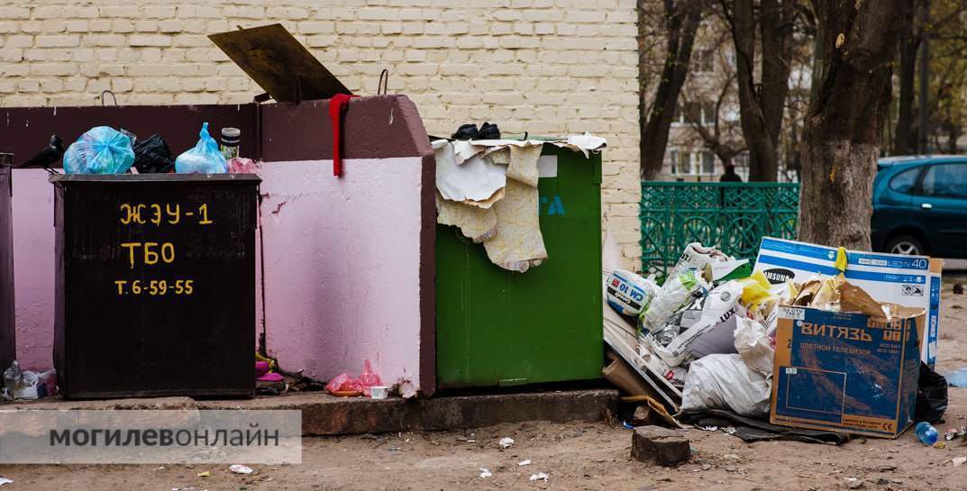 В Могилевской области с начала года убрали более 620 несанкционированных свалок