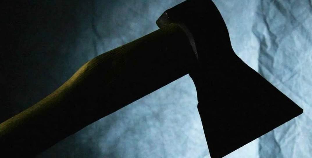В Красноярском крае 11-летний мальчик зарубил своего одноклассника топором из-за оскорблений