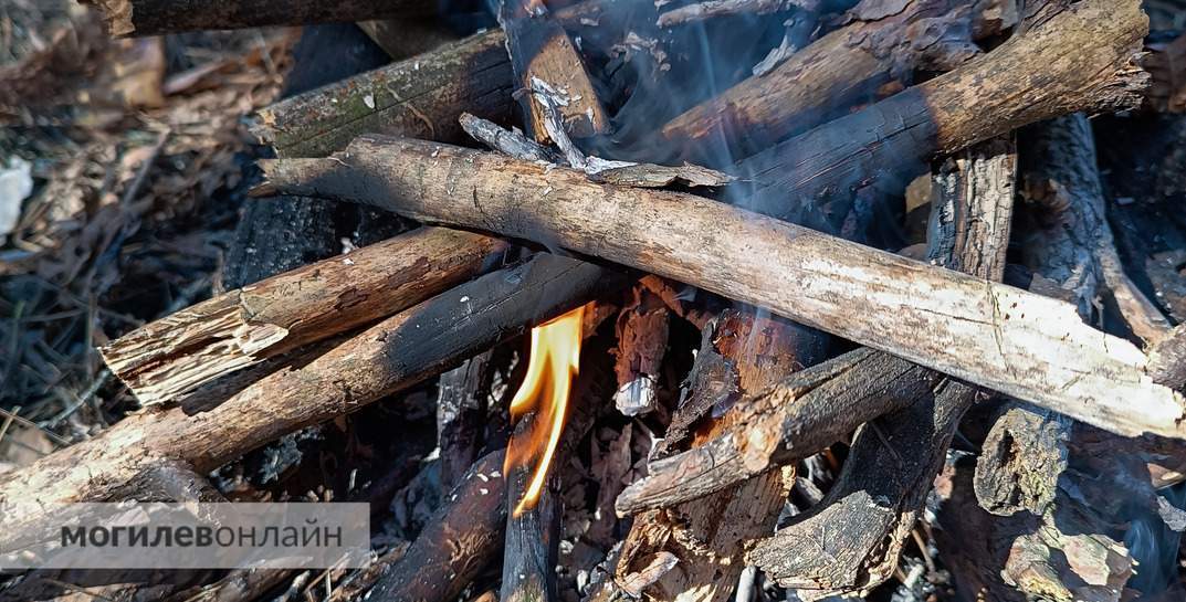 В Бобруйском районе ребенок загорелся, когда пытался развести костер