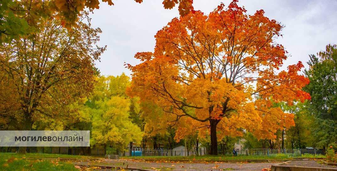 В Могилевской области в начале ноября ожидается на 4-5 градусов выше климатической нормы