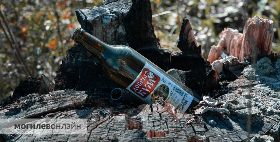 Алкогольный пикник с последствиями: могилевчанка осталась без телефона после отдыха в компании приятелей
