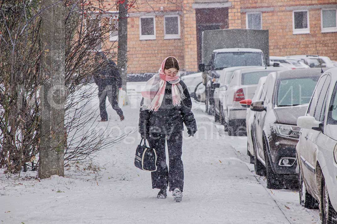 Могилев накрыл снегопад. Посмотрели, как работают коммунальщики и чем живет город в первый день настоящей зимы