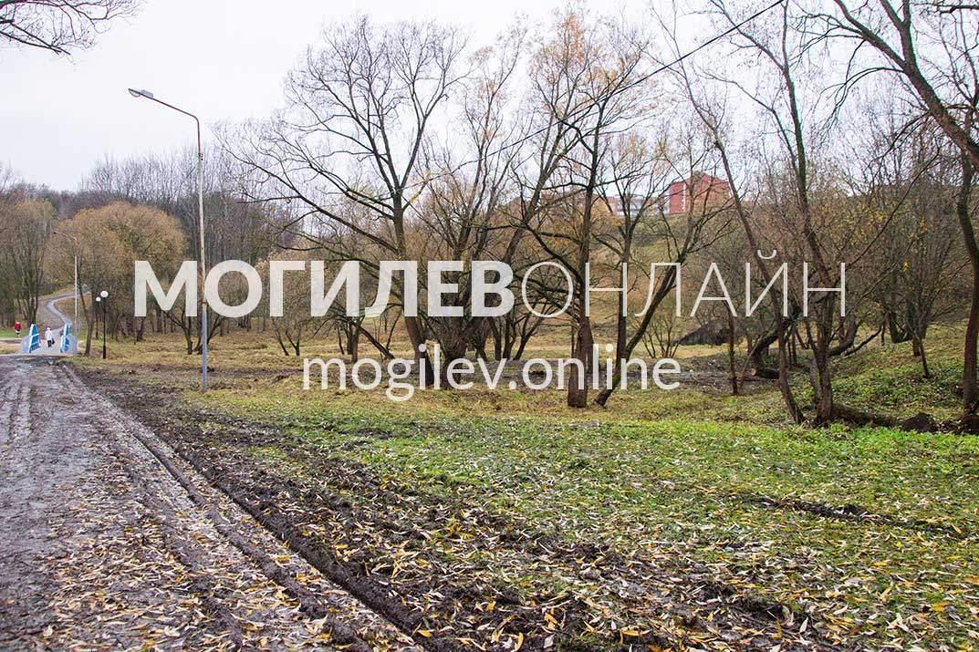 Новый мост через Дубровенку в Могилеве