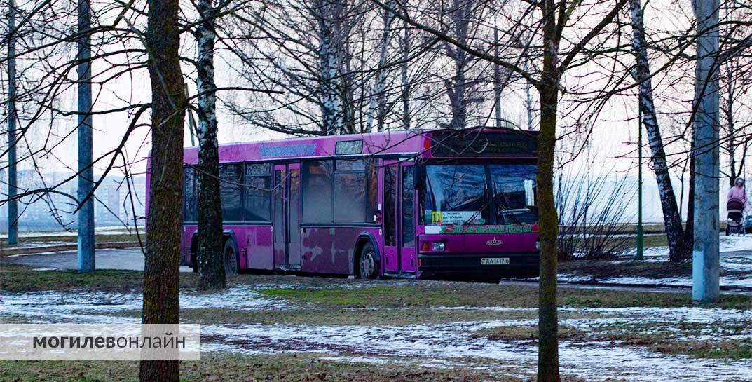 С 20 ноября по 20 декабря изменится схема движения и расписание автобусов № 12 и № 46