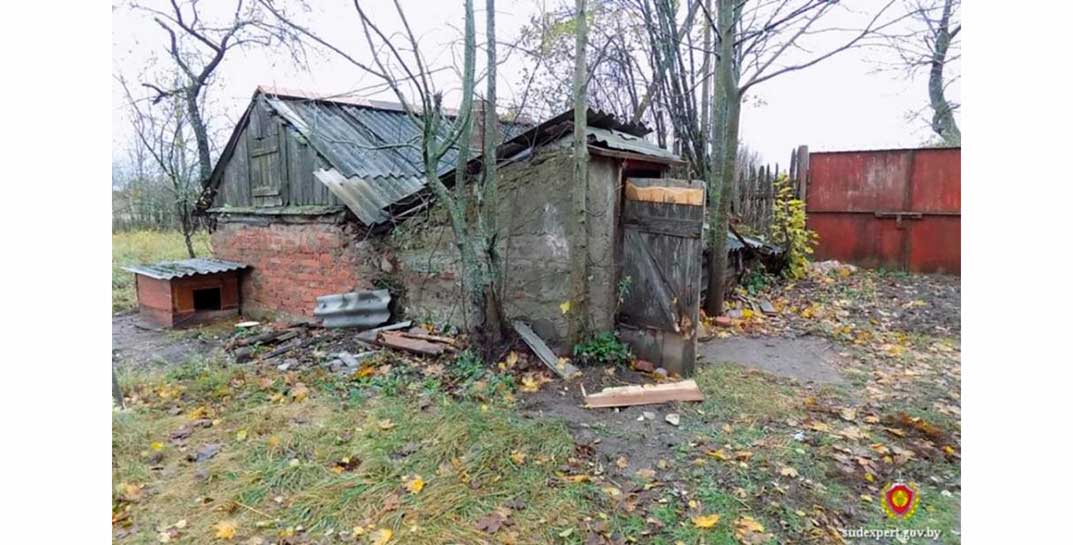 Сожители в Кличевском районе погибли в бане, обустроенной в погребе