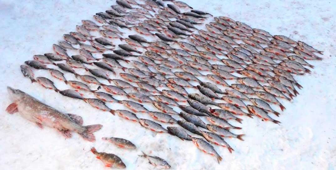 «Богатый» улов браконьеров из Круглянского района обернулся для природы ущербом почти в 16 тысяч рублей