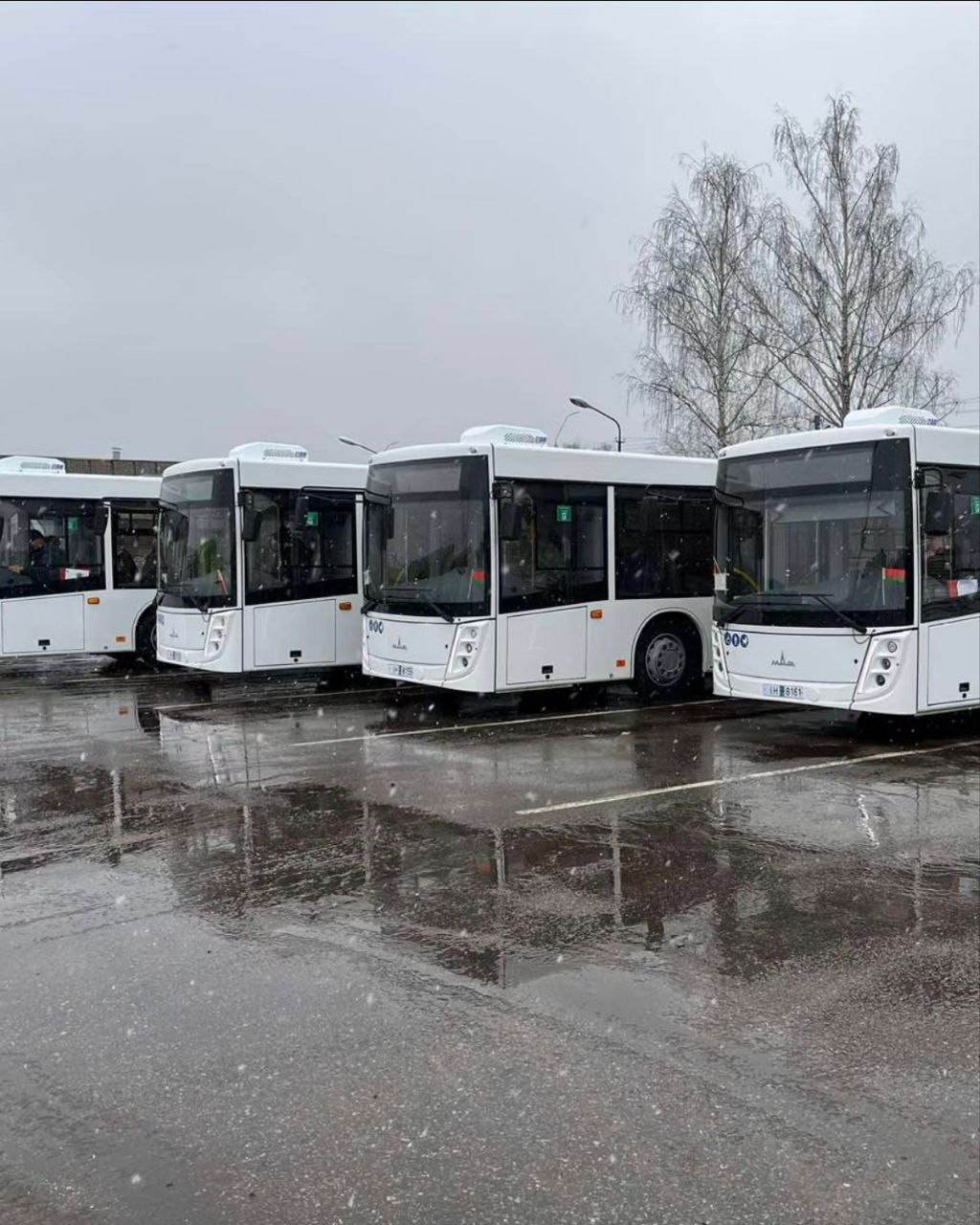 Новые автобусы в Могилеве