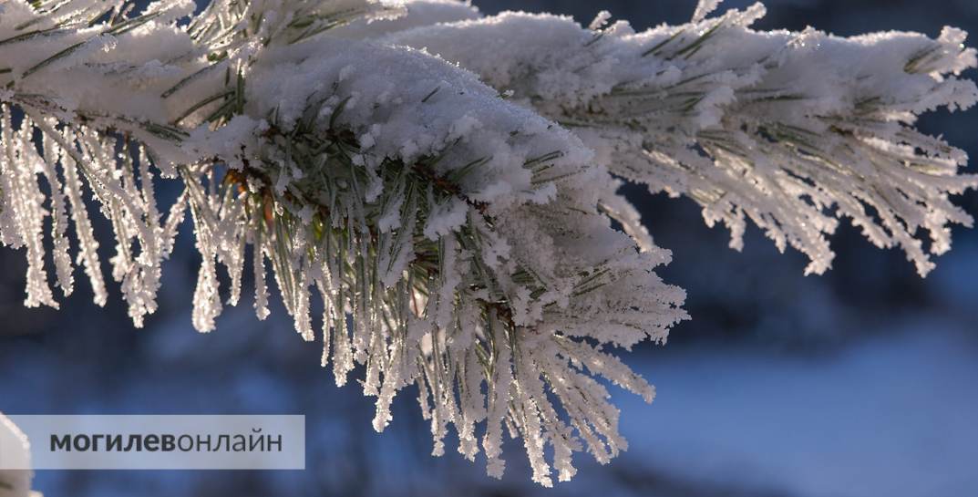 Синоптик Дмитрий Рябов дал прогноз погоды в Могилеве на неделю с 18 по 24 декабря
