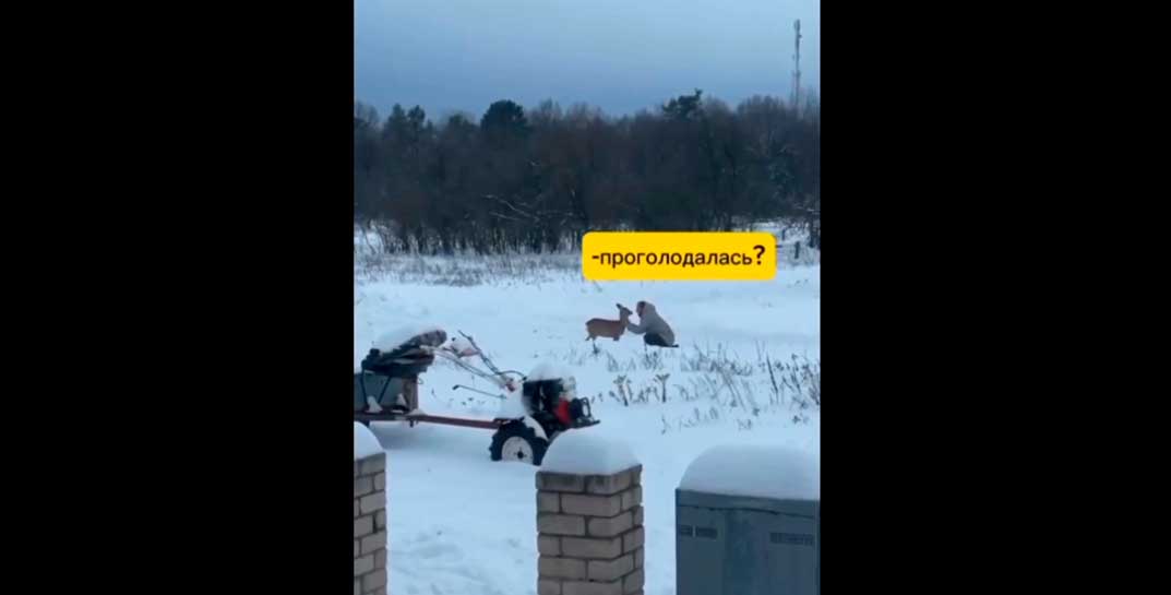 «Кушать, кушать, кушать!» — в Могилевской области малыш из леса прибежал на обед к людям