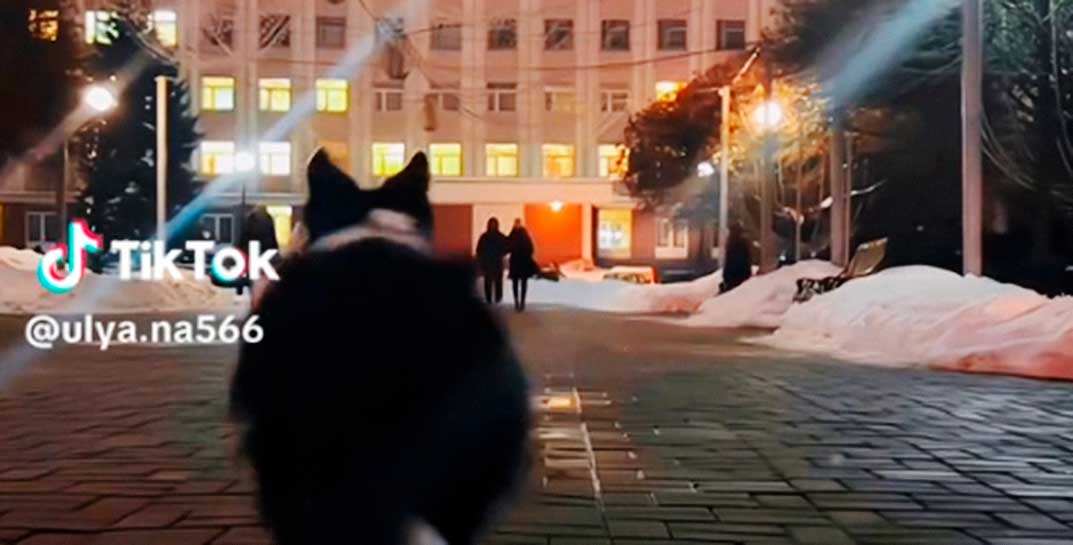 Посмотрите, какой умный мальчик! В Гомеле пес помог парню сделать предложение любимой девушке