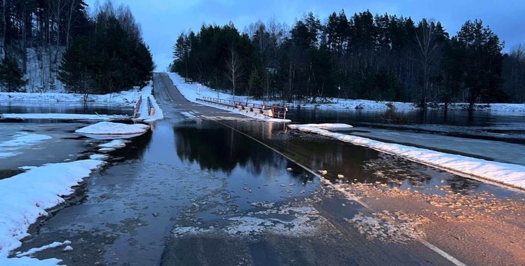 В Славгородском и Чаусском районах из-за подъема уровня воды в реке подтопило дороги и мост