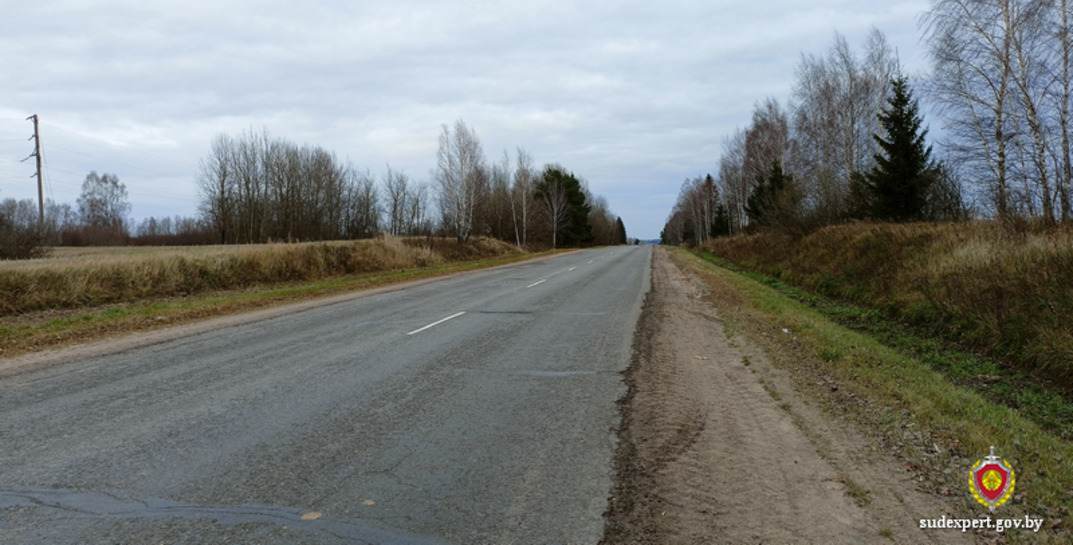 В Мстиславском районе водитель подобрал на дороге мертвую косулю, отвез домой и разделал ее — теперь ему грозит до трех лет тюрьмы