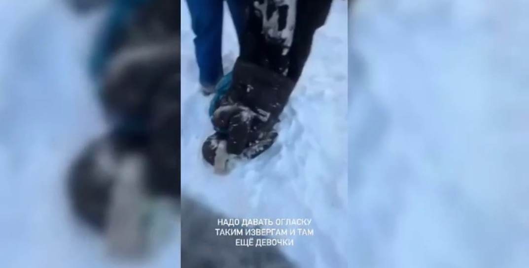 В Минске школьники под впечатлением от просмотра сериала издевались над шестиклассником и снимали это на видео