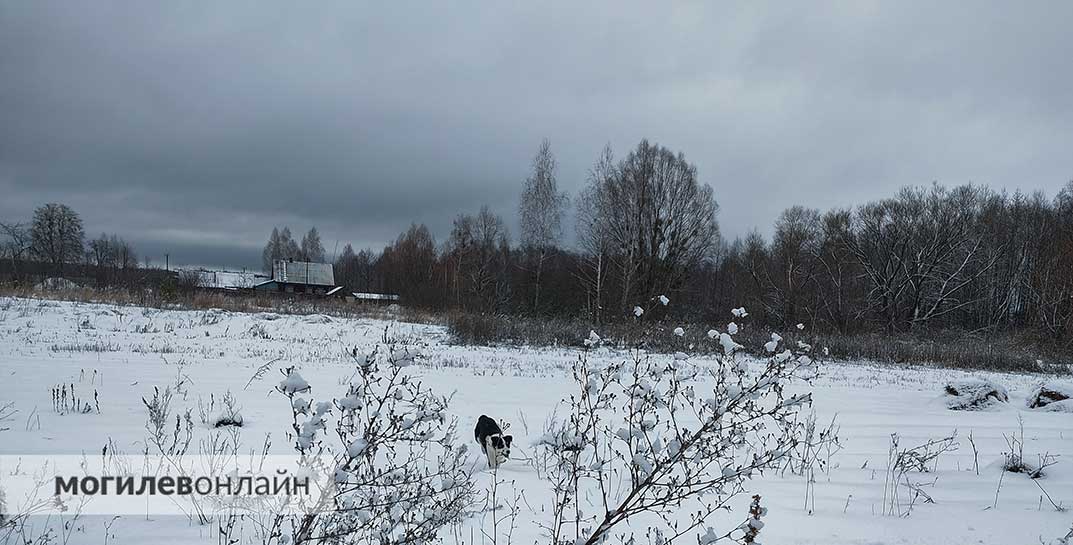 Снова дождь со снегом и плюс. Погода в Могилеве на пятницу, 22 декабря