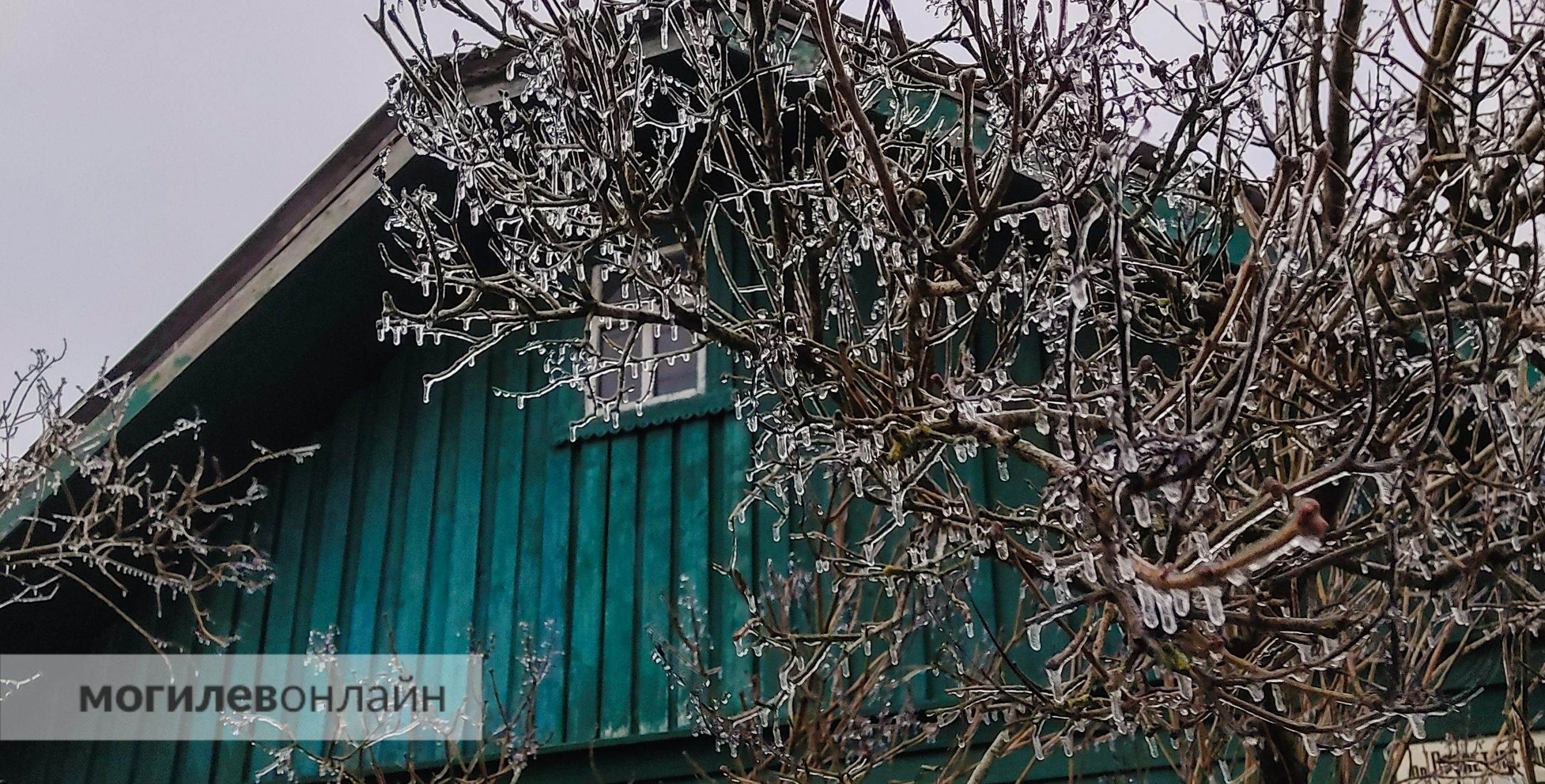 Около нуля и чуть ниже. Погода в Могилеве на воскресенье, второй день больших выходных