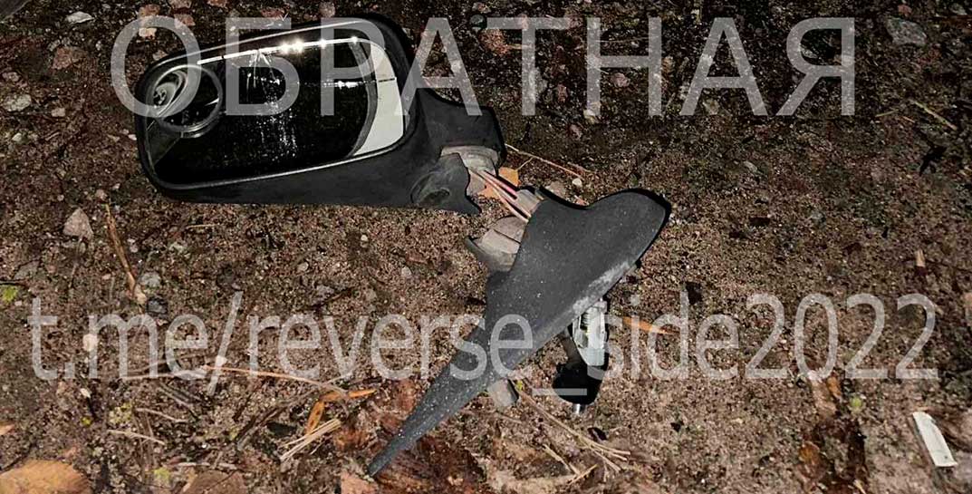 Могилевчанин поймал «белочку» и повредил чужую машину