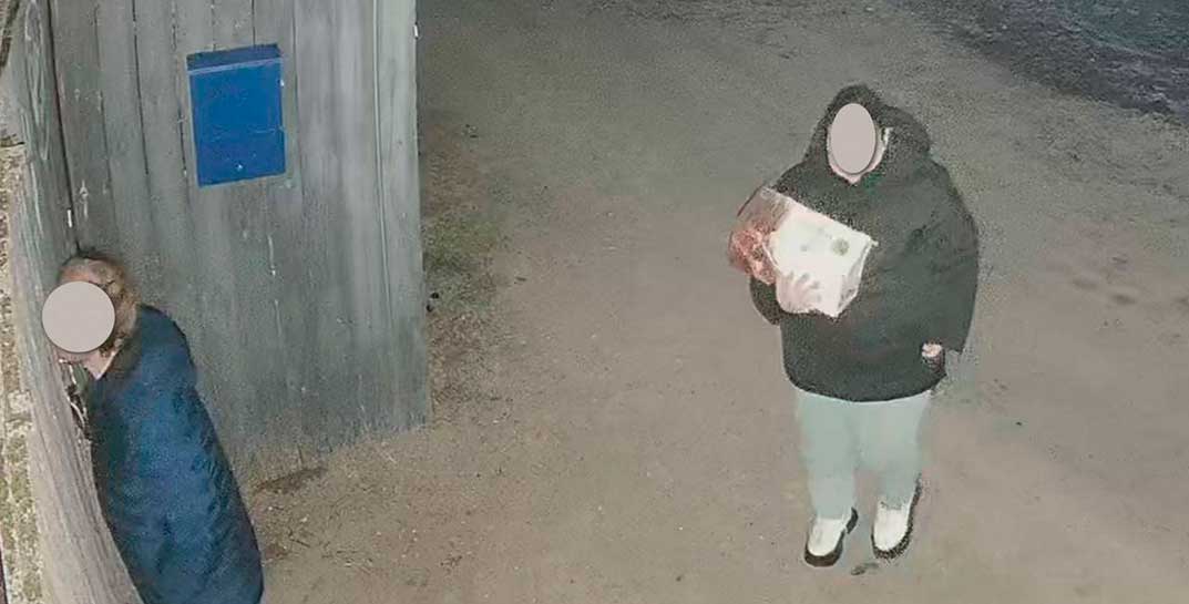 Жительница Гродно оставила новорожденных щенков на морозе. Малыши погибли, гродненчанку будут судить