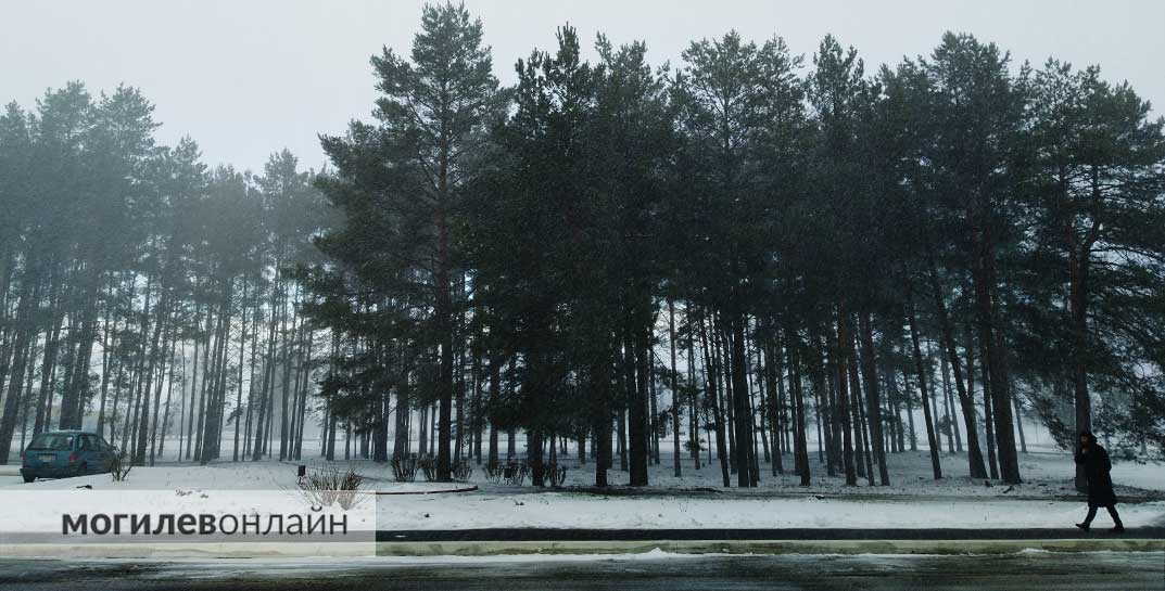 В садовом товариществе под Могилевом насмерть замерз пенсионер