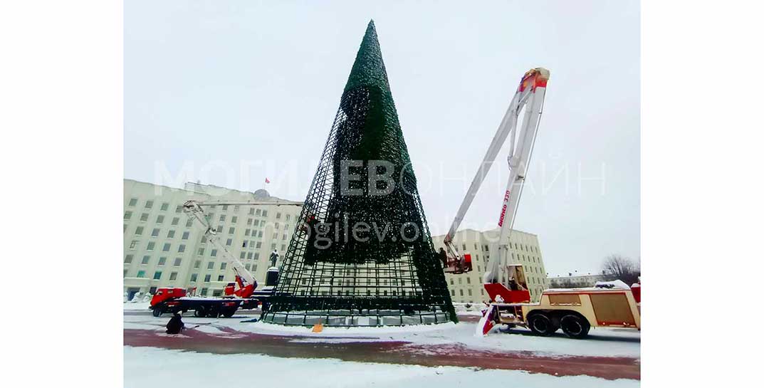 Осталось совсем чуть-чуть — на площади Ленина продолжается установка главной ели области