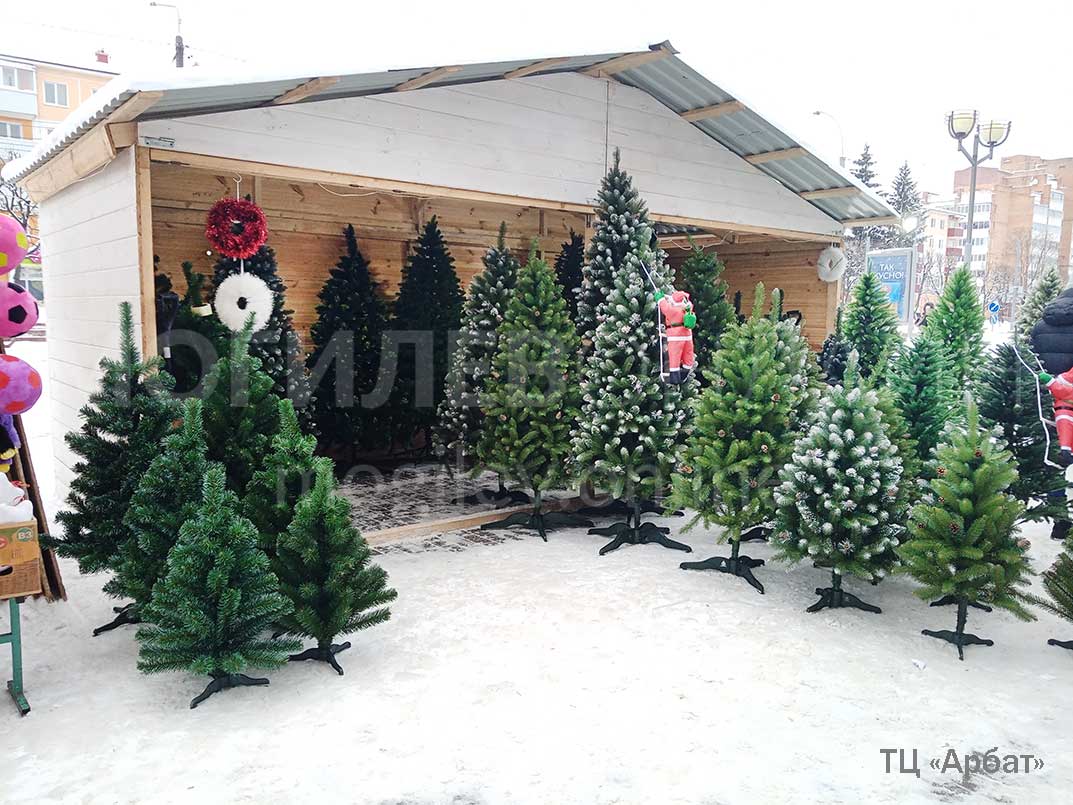 Новогодние ярмарки в Могилеве: елки есть, а где настроение?