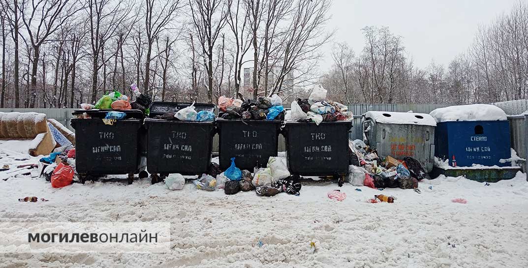 «Суровый мусорщик»: в Борисове работник мусоровоза проколол колеса в чужой машине — мешала опустошить контейнер