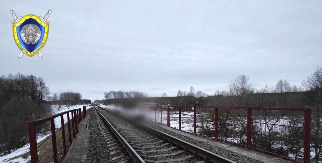 В Кричеве поезд насмерть сбил женщину