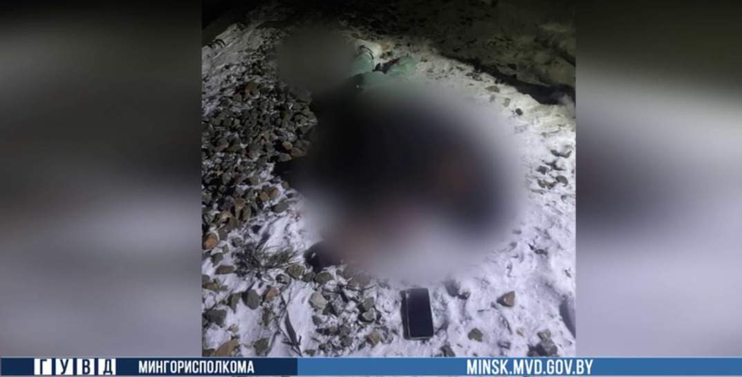 В Минске поезд насмерть сбил женщину