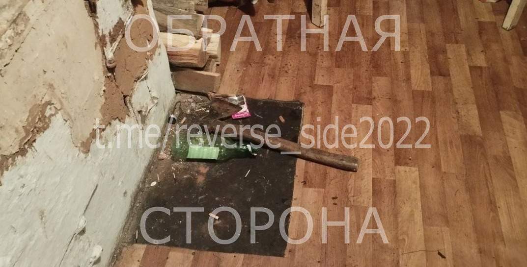 В Белыничском районе пьяный мужчина набросился с топором на дочь сожительницы
