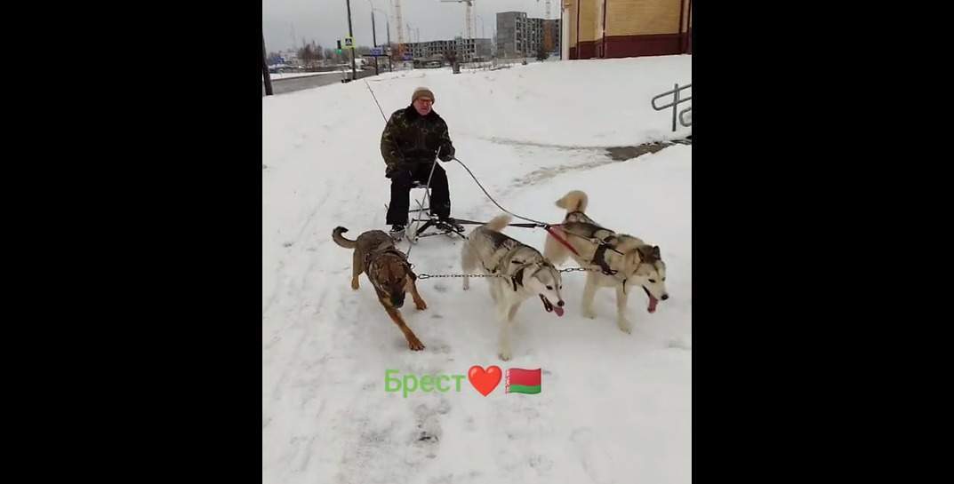 «Шоб вы понимали, у нас катаются на лайках». Посмотрите, как в Бресте развлекаются зимой