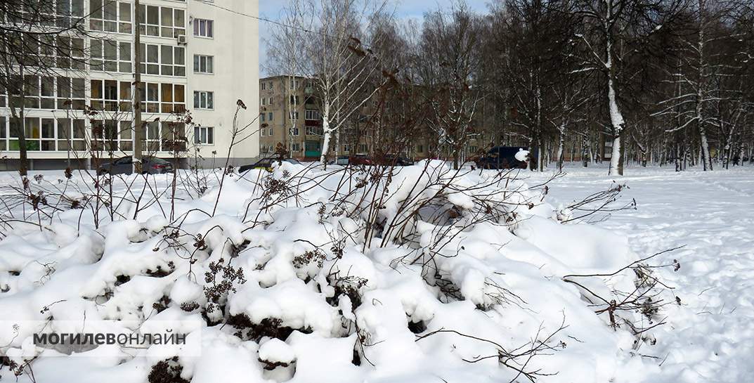 Около нуля и мокрый снег. Погода в Могилеве на среду, 10 января