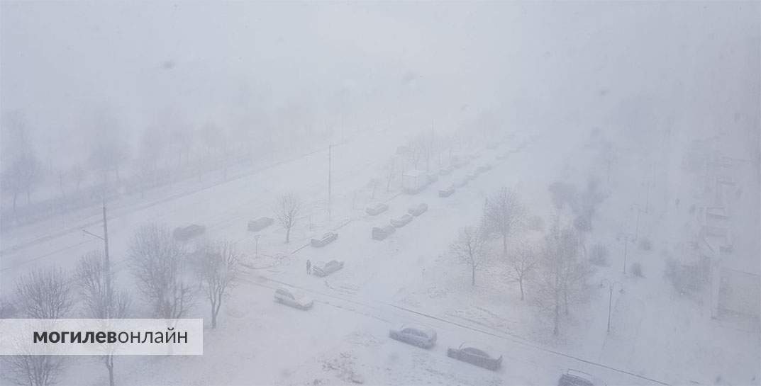 Мороз и снег. Погода в Могилеве на пятницу, 5 января