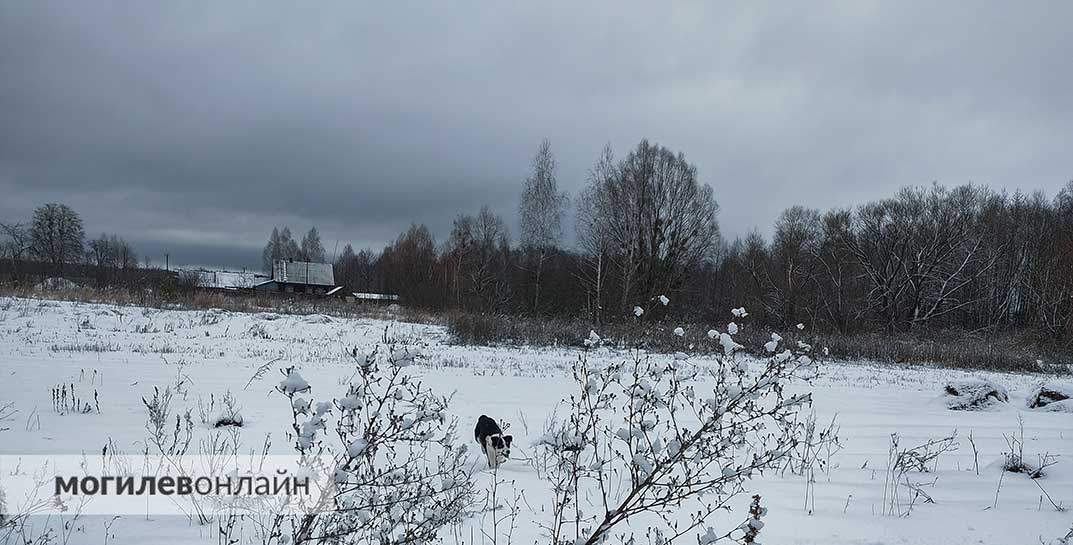 Устойчивый минус и туман. Погода в Могилеве на выходные